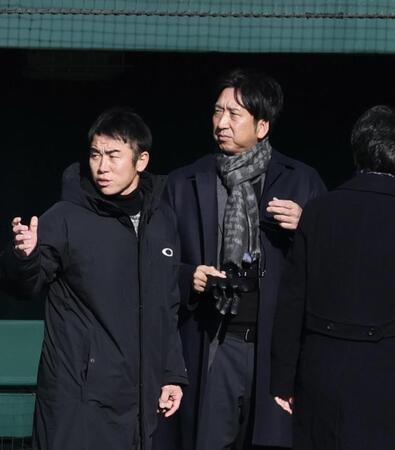 　自主トレを見る藤川監督（撮影・田中太一）