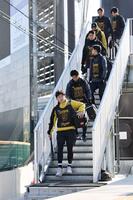 　球場入りする立石（手前）ら（撮影・田中太一）