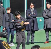 　藤川監督（奥中央）ら首脳陣が見る中、バットを振る立石（撮影・田中太一）
