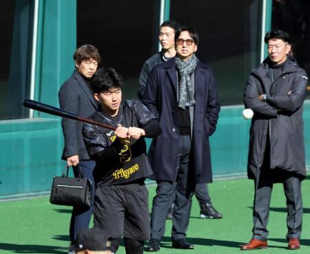 　藤川監督（右奥）ら首脳陣が見る中、バットを振る立石（撮影・田中太一）