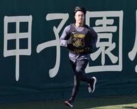 走り込む阪神・岡城快生＝ＳＧＬスタジアム尼崎（撮影・田中太一）