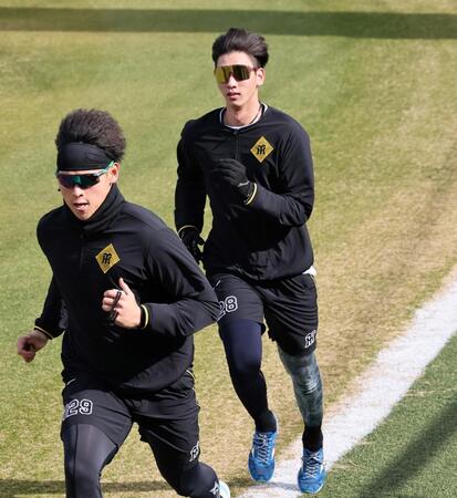 　走り込む早川（左）と今朝丸（撮影・田中太一）