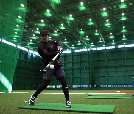 自主トレを公開し、トス打撃でバットを振り込む大山（撮影・山口登）