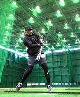 自主トレを公開し、トス打撃でバットを振り込む大山（撮影・山口登）