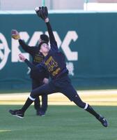 　ノックの打球に飛びつく早瀬