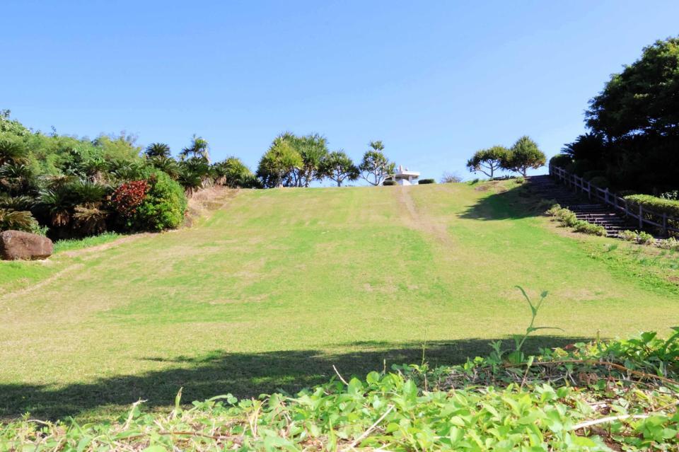 　近本がトレーニングで走り込む笠石海浜公園の２段坂