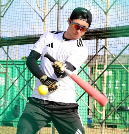 　打撃練習をする近本（撮影・田中政行）