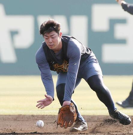 阪神・ドラ２谷端　能登地震に実家で被災　祖父母は仮設住宅に移住「全力で頑張ってるところは見せたい」