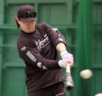 打撃練習をする浜田（撮影・田中太一）