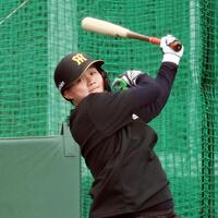 　打撃練習をする森下（撮影・田中太一）