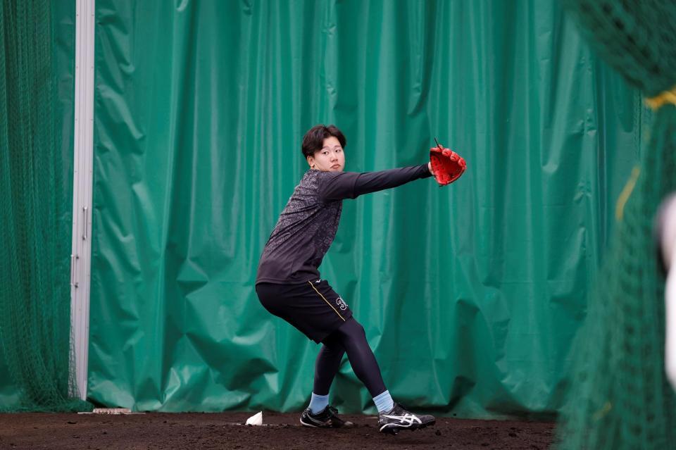 ブルペンで投げ込む阪神・門別啓人＝宜野座（撮影・西田忠信）