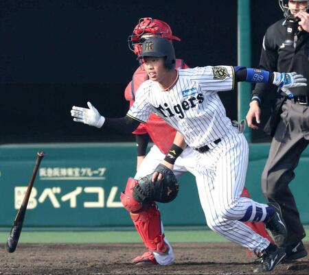 阪神・百崎　藤川監督も評価「アグレッシブ」な２０歳が殴り込む【春季キャンプ・デイリートラ番イチ推し選手紹介】