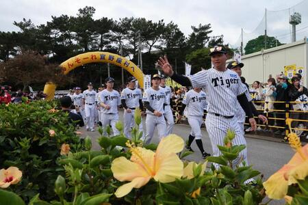 キャンプイン虎ウォークを行う森下（右）ら（撮影・田中太一）