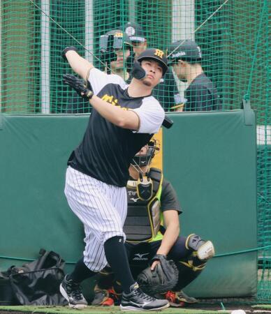 打撃練習する佐藤輝