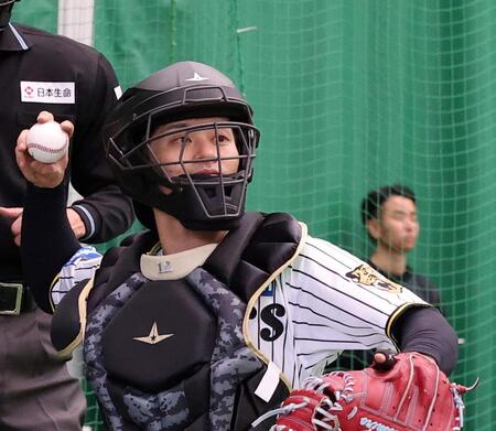 　ブルペンで投球を受ける坂本（撮影・西田忠信）