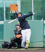 打撃練習する森下