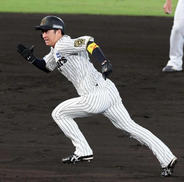 阪神・近本 磨くほど輝く 夜光貝のように【春季キャンプ・デイリートラ