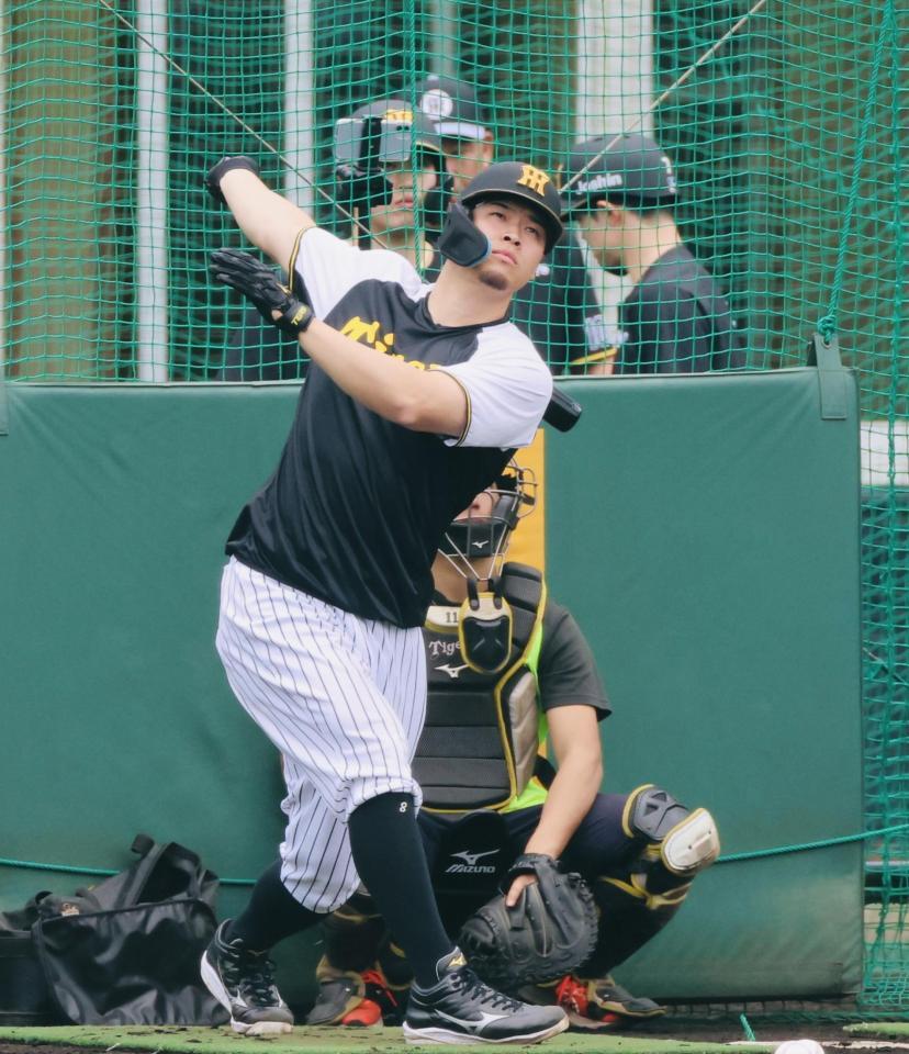 打撃練習する佐藤輝