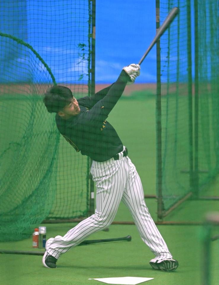 　室内で打撃練習する立石（撮影・飯室逸平）