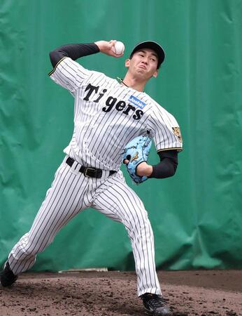 阪神・今朝丸　長身から投じる真っすぐは角度あり　ハマった時のボールは十分に１軍で勝負できるキレがある【評論家の眼】