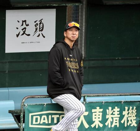 　ベンチから練習を見る藤川監督（撮影・田中太一）