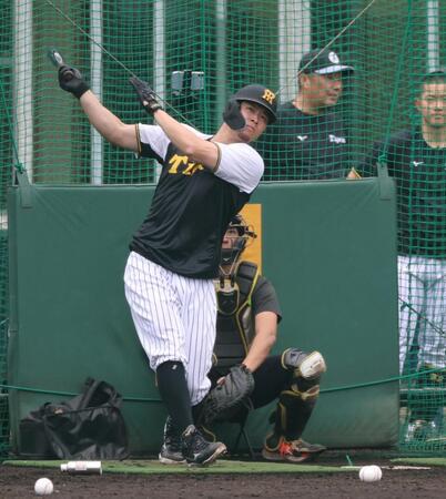 打撃練習する佐藤輝（撮影・山口登）