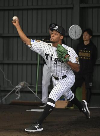 ブルペンで力投するモレッタ