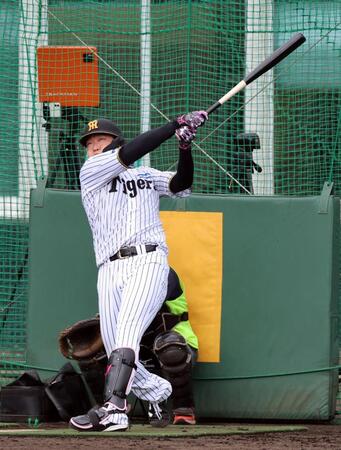 ランチ特打で柵越えを連発する大山（撮影・山口登）