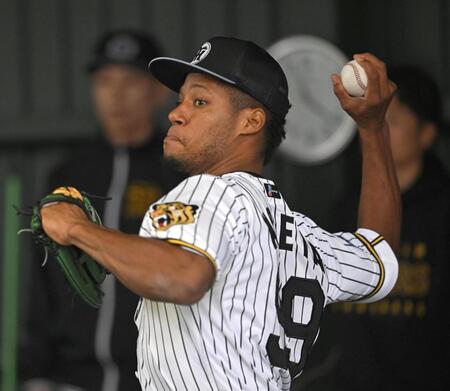 初ブルペンで力投するモレッタ（撮影・飯室逸平）