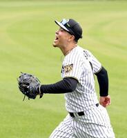 声を張り上げノックの打球を追う佐藤輝（撮影・山口登）