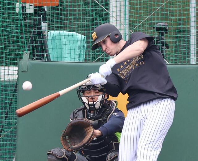 阪神　大山＆ディベイニーが花火大会