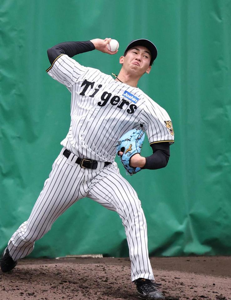 中田良弘氏の眼】阪神・今朝丸 長身から投じる真っすぐは角度もあるし