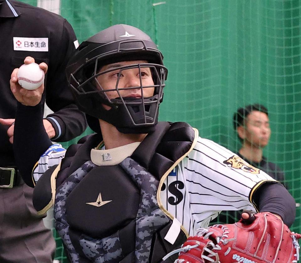 　ブルペンで投球を受ける坂本（撮影・西田忠信）