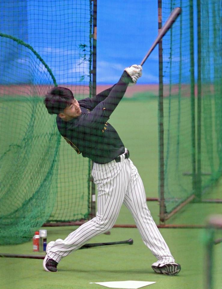 阪神・ドラ1立石 平田2軍監督が熱視線 ノーステップ打法でも存在感