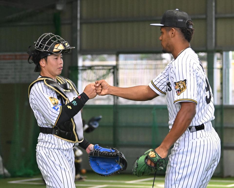 ブルペン投球後のモレッタとグータッチを交わす梅野（撮影・飯室逸平）