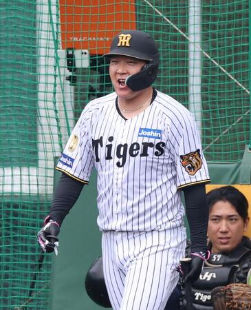 打撃練習を終え、声を出す大山（撮影・山口登）