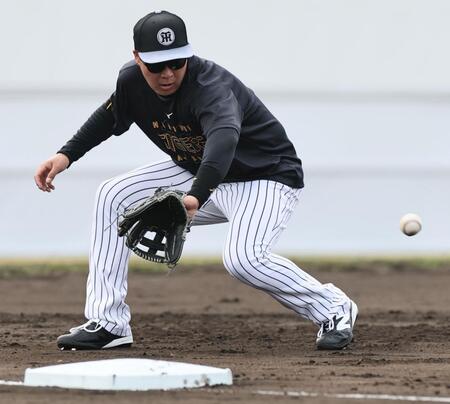 三塁で早出特守をする大山（撮影・田中太一）