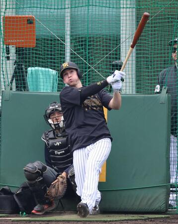 ランチ特打で快音を響かせるディベイニー（撮影・山口登）