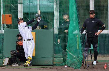森下（左）は糸井ＳＡが見守る中、ランチ特打をする（撮影・山口登）