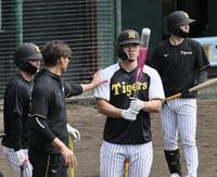 佐藤輝（中央）らにアドバイスした糸井臨時コーチ（撮影・田中太一）