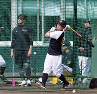 糸井ＳＡ（左）が見つめる中、打撃練習する佐藤輝（撮影・山口登）