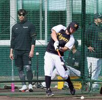 糸井ＳＡ（左）が見つめる中、打撃練習する佐藤輝（撮影・山口登）