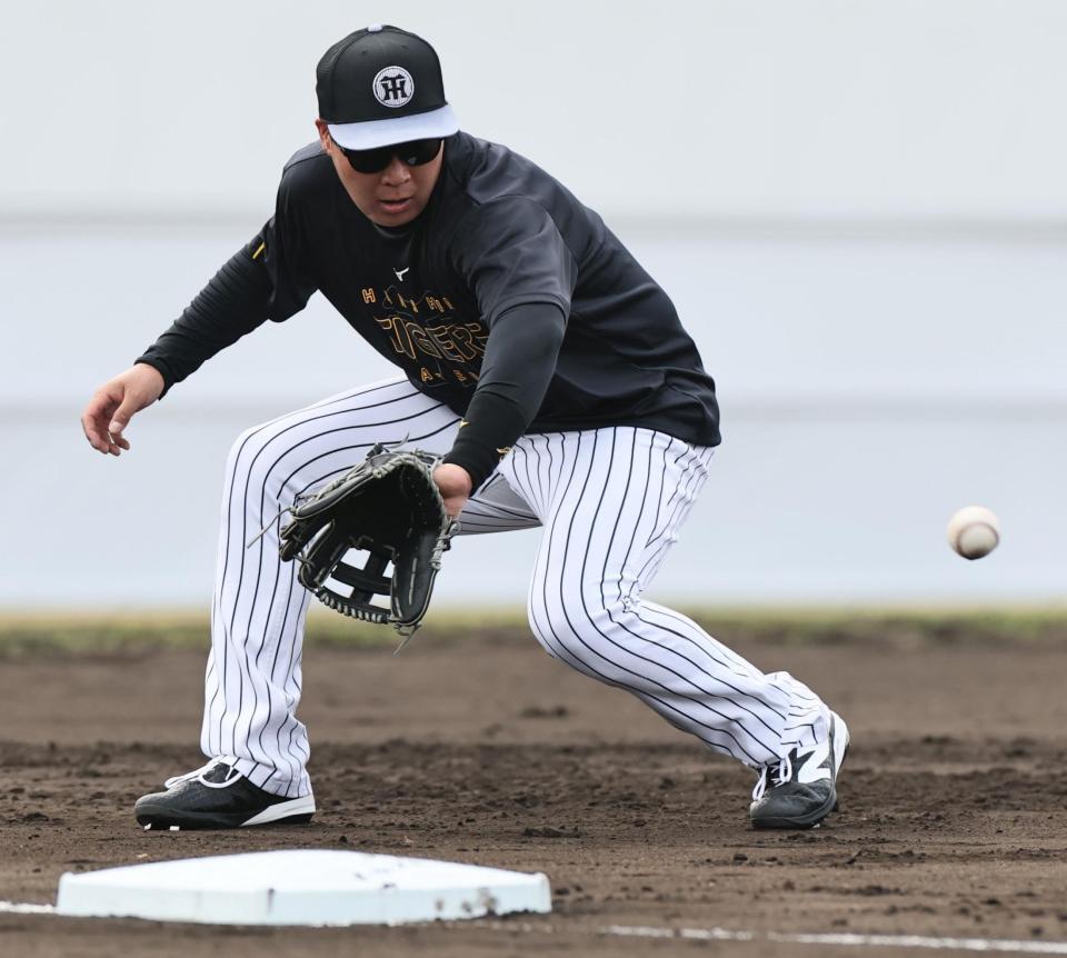 三塁で早出特守をする大山（撮影・田中太一）