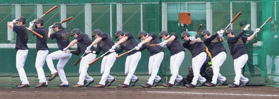 　阪神・ディベイニーの打撃