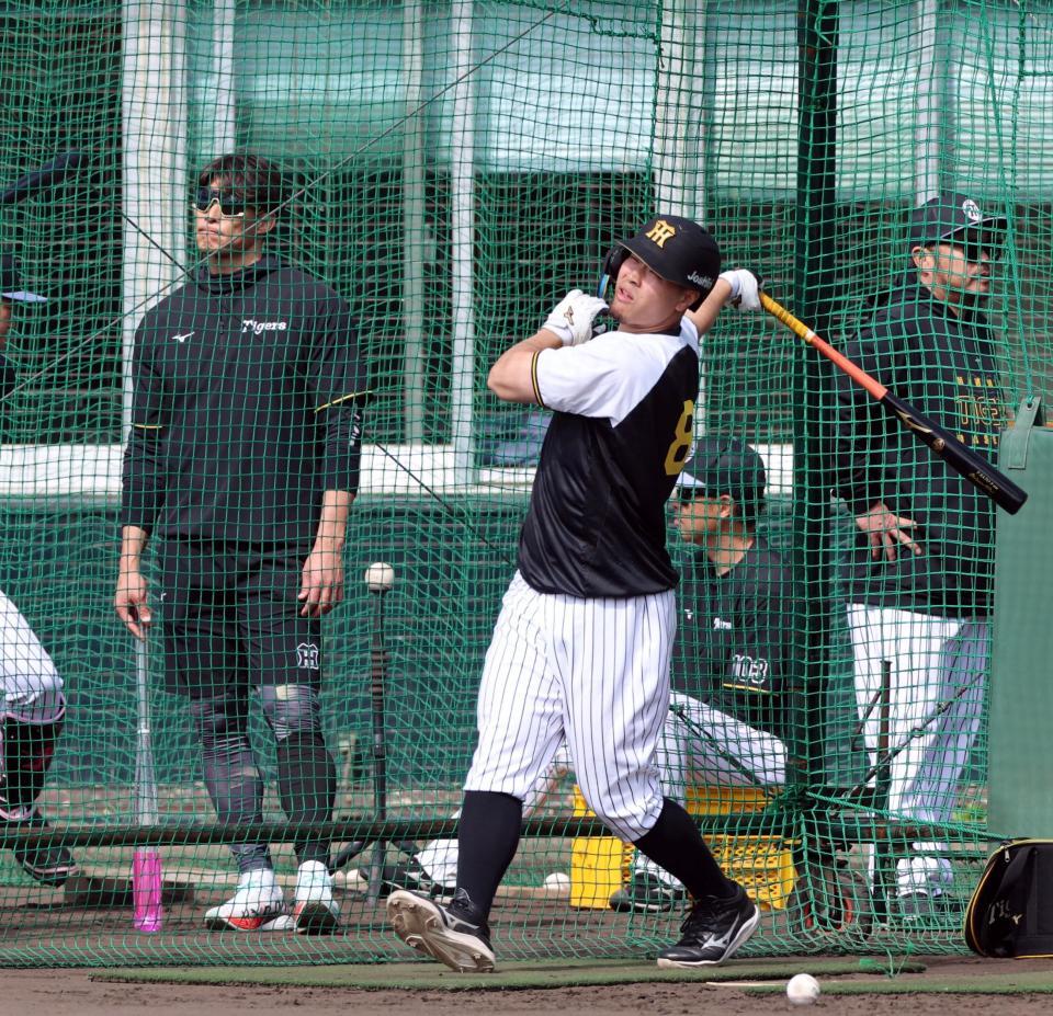 糸井ＳＡ（左）が見つめる中、打撃練習する佐藤輝（撮影・山口登）