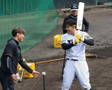 　クリケットバットでティー打撃をする佐藤輝（２０２５年）