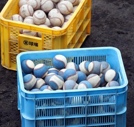 　佐藤輝がティー打撃で使った重いボール（２０２５年）