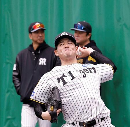 阪神・伊藤稜　藤川監督から高評価「いいよ！」　育成左腕に「ピッチング楽しめ」のアドバイスも