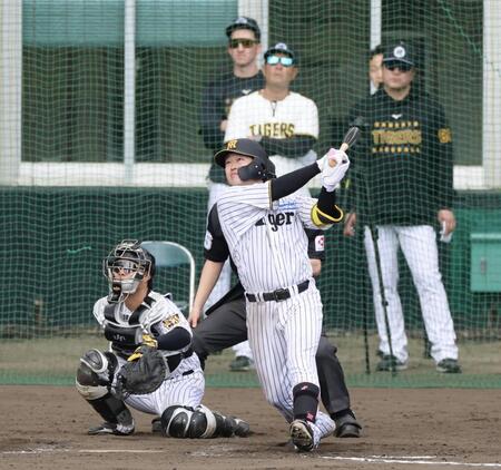 シート打撃で右越えに本塁打を放つ浜田（撮影・山口登）