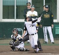 シート打撃で右越えに本塁打を放つ浜田（撮影・山口登）